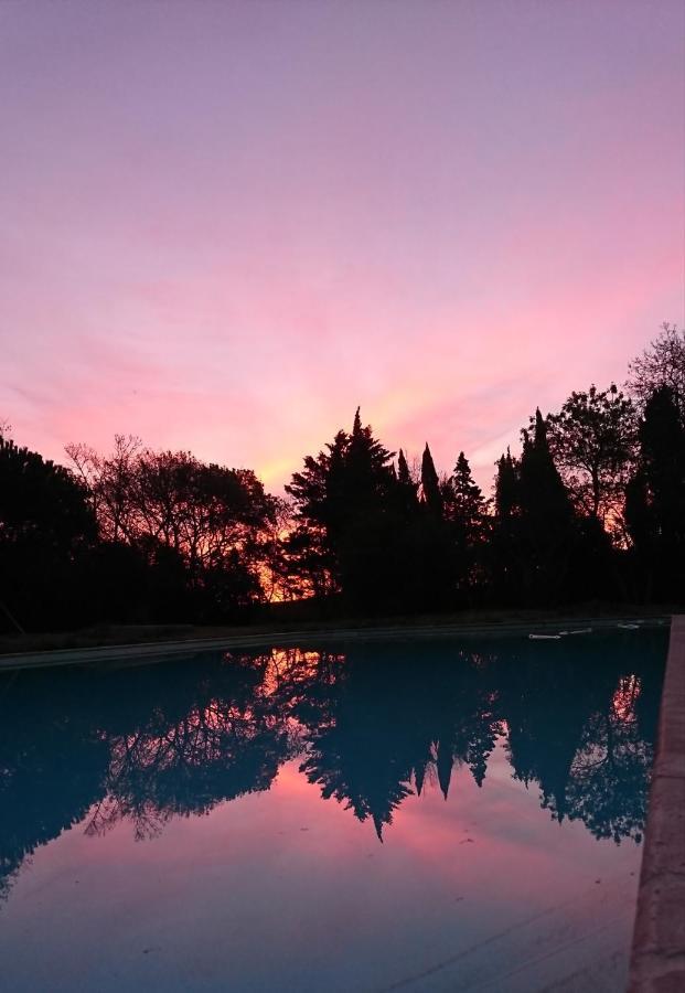 Le Jardin De Lacoste Narbonne Eksteriør billede