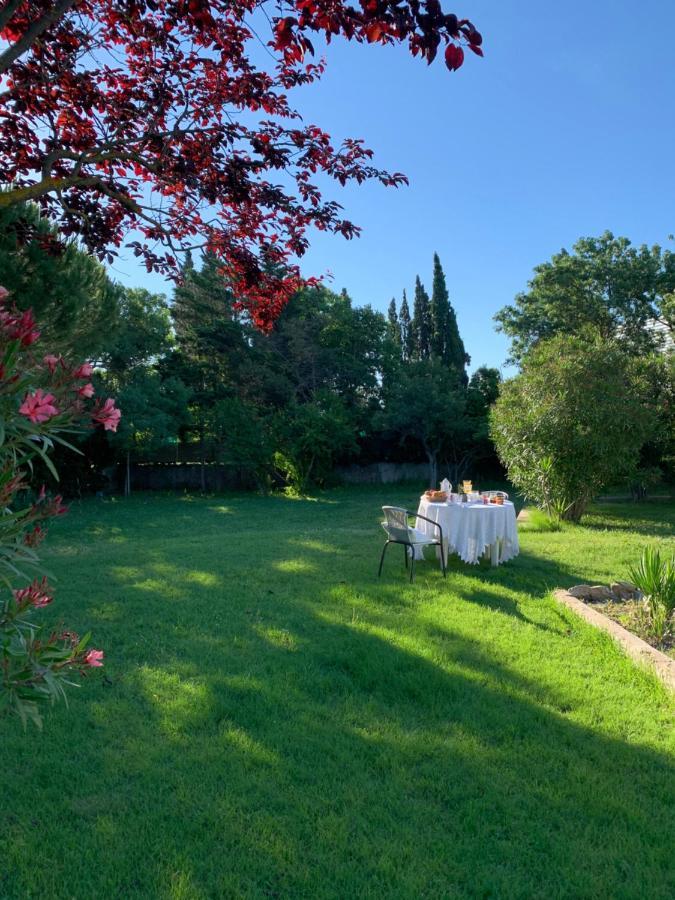 Le Jardin De Lacoste Narbonne Eksteriør billede